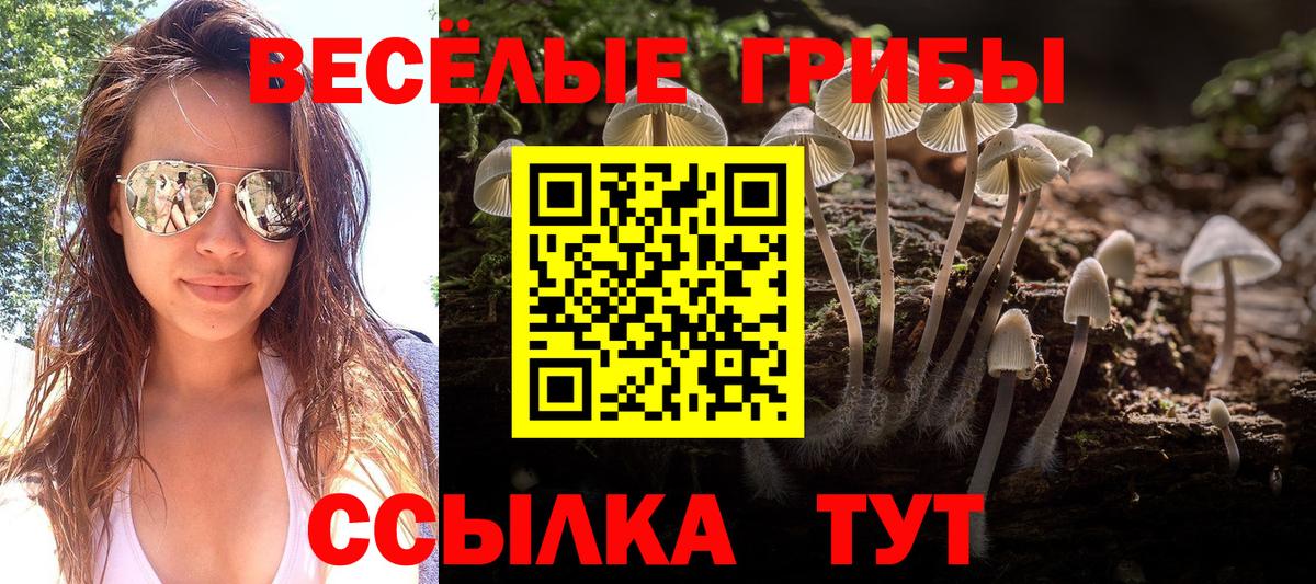 Псилоцибиновые грибы GOLDEN TEACHER  Вход с VPN  что такое   Бугуруслан  Псилоцибиновые грибы прущие грибы 